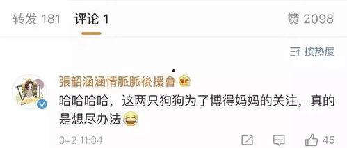 娱乐吃瓜酱属于什么标签,揭秘娱乐圈幕后故事，带你领略明星幕后生活